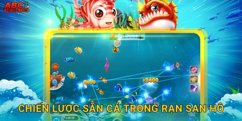 Chiến lược săn cá trong rạn san hô