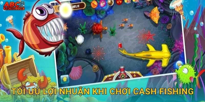 Tối ưu lợi nhuận khi chơi Cash Fishing